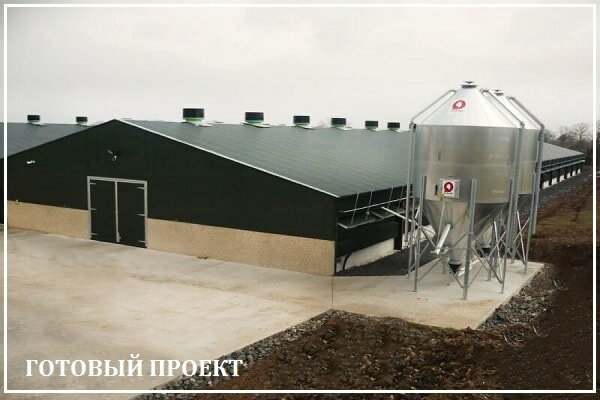 Этапы возведения птицефабрики от завода ВелесТент-мси